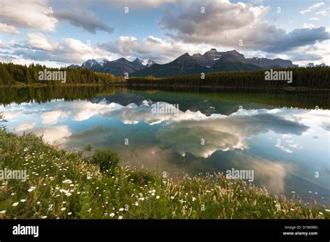 Herbert Lake Panorama In Banff National Park Alberta Canada Stock
