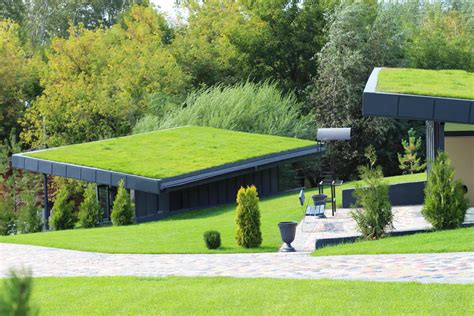 Green Roofs How To Make Your Home Welcoming To Wildlife