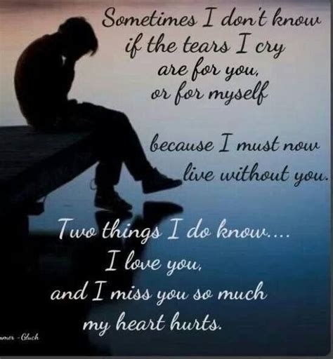 Miss You So Much It Hurts Quotes