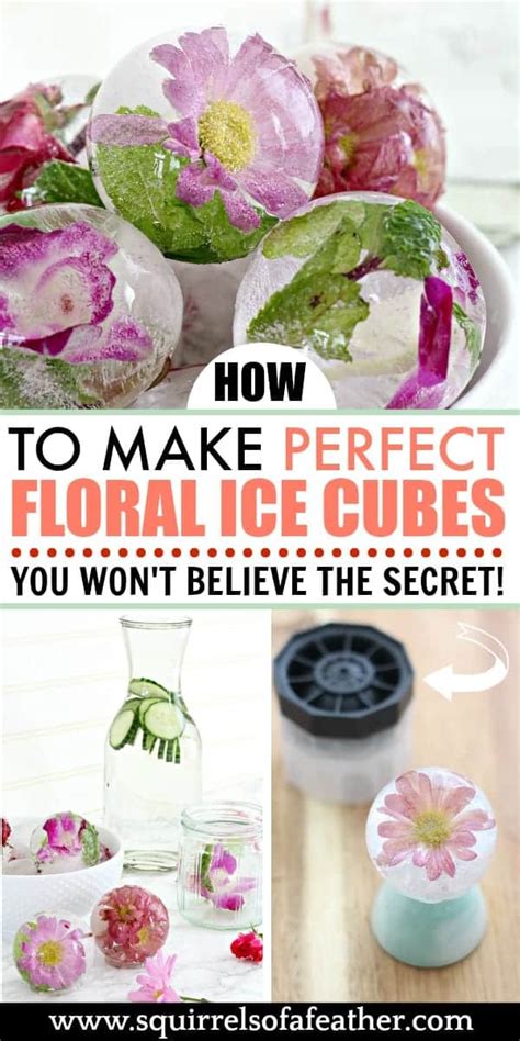 Put Edible Flowers In Ice Cubes For Perfectly Insta Worthy Drinks