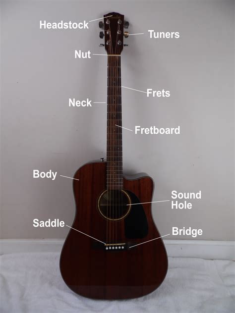 The Anatomy Of An Acoustic Guitar Hubpages
