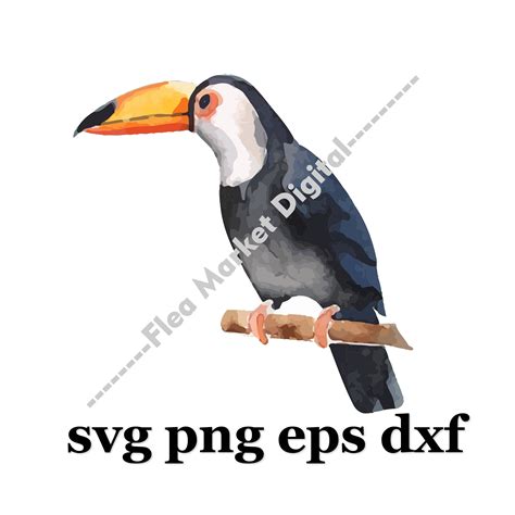 Watercolor Tropical Bird Toucan Svg Png Eps Dxf Etsy