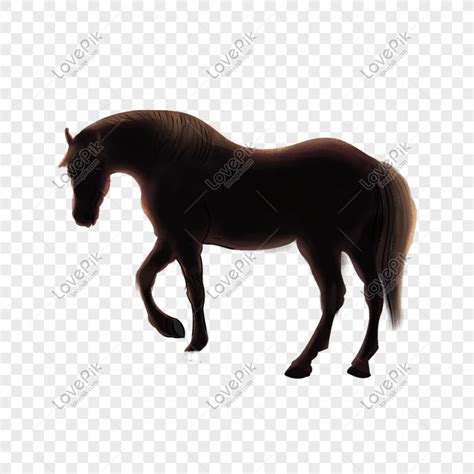 Horse Horse Picture Horse Picture Hand Painted Horses Png Picture