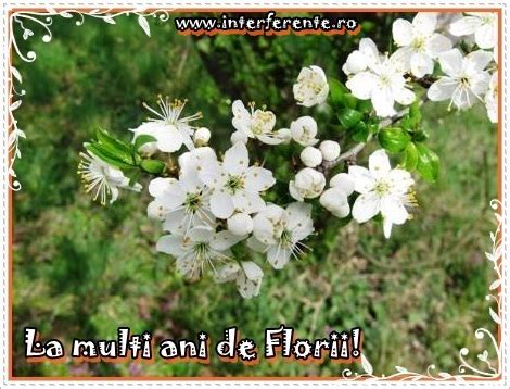 Viorica, florentina, florica, floarea, florina, florin, viorel, florian, florea, florentin şi pentru toţi cei care au nume de floare. felicitari-si-mesaje-de-florii-2015