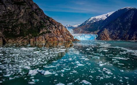 Download Glacier Bay National Park Alaska Ice Mountain Nature Glacier
