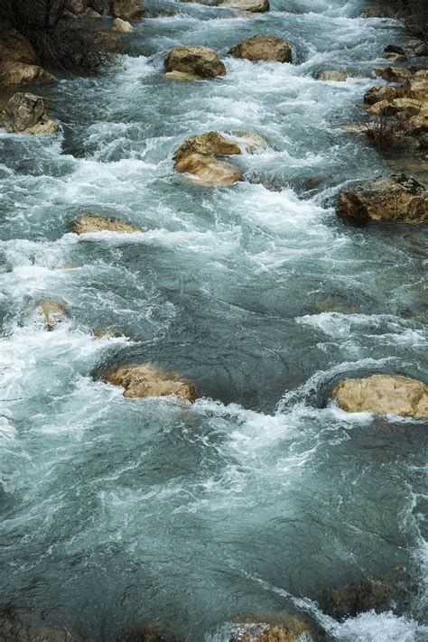 River Stream Brook Free Photo On Pixabay Pixabay