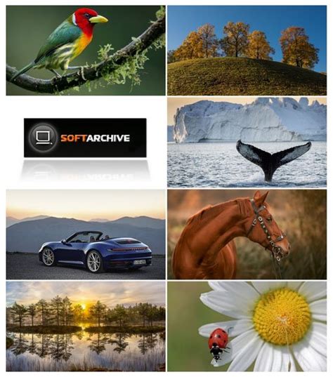 Download Softarchive Wallpapers Part 61 - SoftArchive