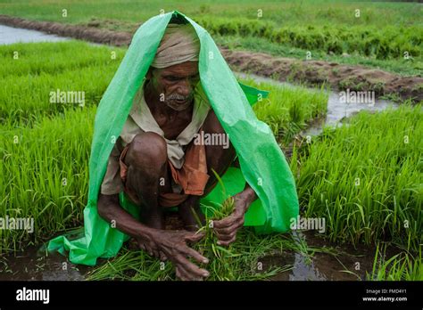 India Kerala Monsoon Stock Photo Alamy