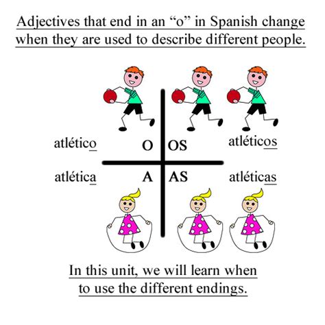 Adjective Noun Agreement Spanish Worksheet Verified