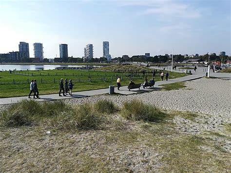 Amager Strandpark Copenhagen All You Need To Know Before You Go