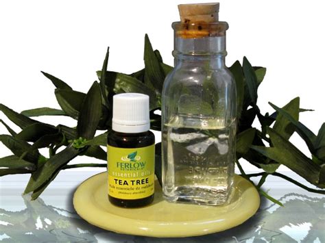Or, use on a sunburn to stall peeling and cool blistered skin. How to Use Tea Tree Oil to Remove Skin Tags | New Health ...