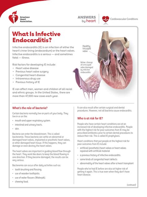 What Is Infective Endocarditis Pdf Heart Oral Hygiene