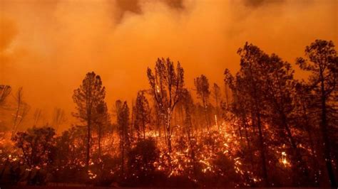Buy & sell on ireland's largest all sections marketplace. California's Carr Fire Surges Into City of Redding - Live ...