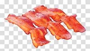 Bacon Bacon Transparent Background PNG Clipart HiClipart