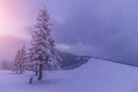 Magical Landscape Of Mountains In Winter Fantastic Morning Glowing By
