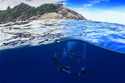 Learn Scuba Diving On Koh Tao Black Turtle Dive