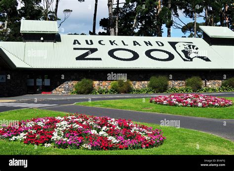 Exterior Of Auckland Zoo New Zealand Stock Photo Alamy