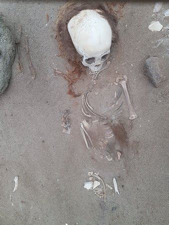 En la cultura chinchorro hubo momias negras, cubiertas por óxido de manganeso; Museo Momias Chinchorro (Arica) - Lo que se debe saber ...