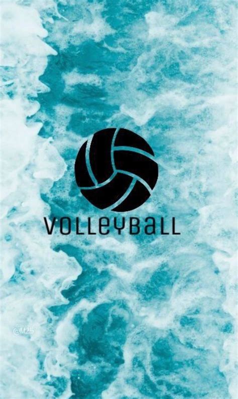 Cool Volleyball Wallpapers Top Free Cool Volleyball Backgrounds