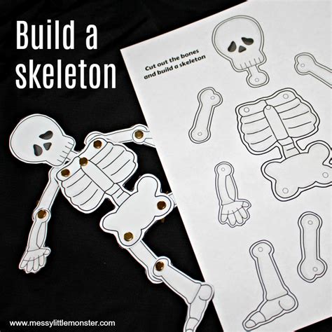 Human Skeleton Activities For Kids Messy Little Monster