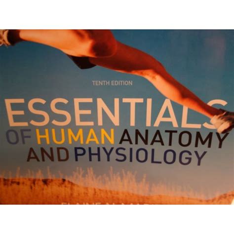 Essentials Of Human Anatomy And Physiology E Marieb