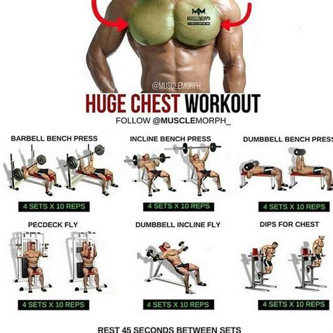 Pectorals Chest Workout Chest Workouts Fitness Training Plan
