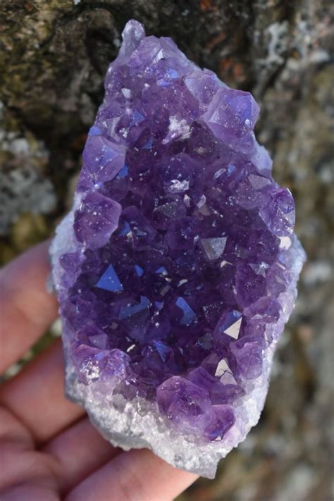 Amethyst Cluster Large Natural Amethyst Crystal Purple Etsy