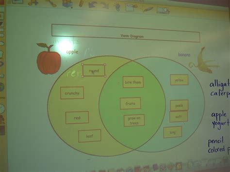 Mrs. Tullis' 2nd Grade Class: Compare and Contrast