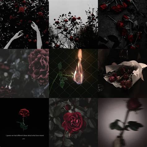 Dark Rose Aesthetic If You Want A Mood Board Dm Me Tags Ignore · ·