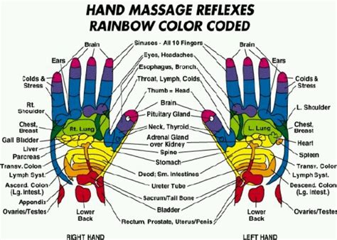 64 Best In The Palm Of Your Hands Images On Pinterest Palmistry Palm Reading And Alchemy