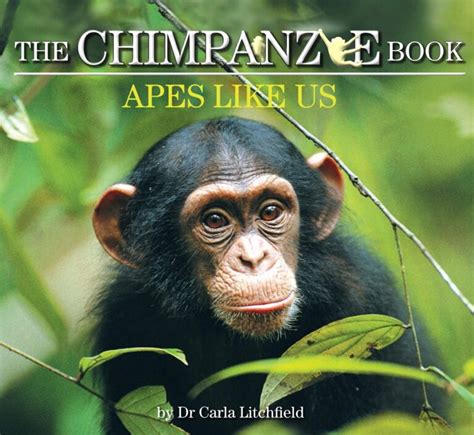 The Chimpanzee Book Apes Like Us Walker Books Australia