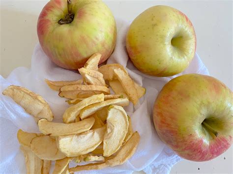 Easy Recipe For Homemade Dried Apple Slices The Perfect Fall Snack