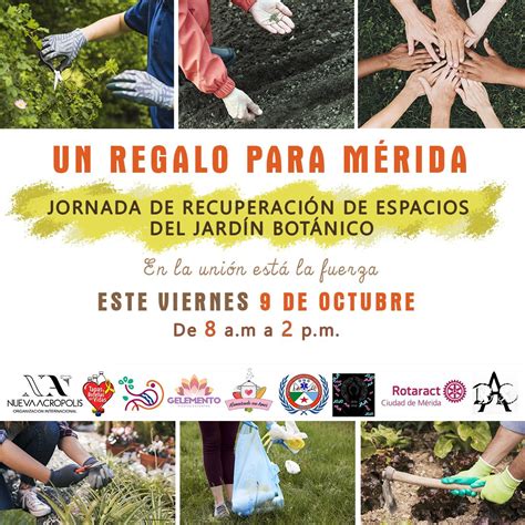 We did not find results for: Wallpaper Merida 1080X1080 - Bc Real Estate On Merida ...