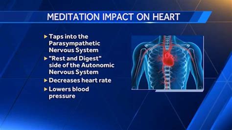 Meditation Workshop To Focus On Cardiovascular Health Benefits