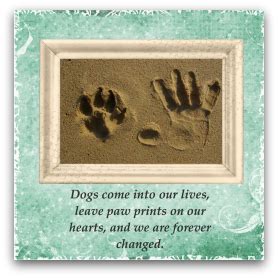Inside with pet sympathy card tm21 no with every touch we say, i'll remember. Dog Sympathy Cards