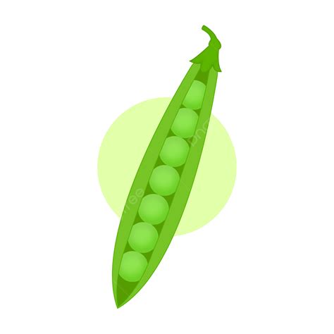 Green Peas Vector Illustration Peas Pea Green Peas Png And Vector