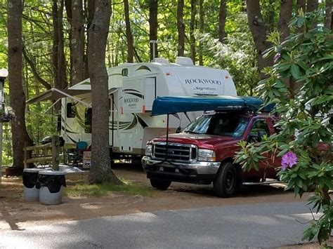 20180602171827large Picture Of Wild Duck Adult Campground And Rv