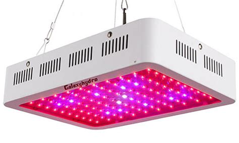 We did not find results for: The Best LED Grow Lights for Extraordinary Cannabis - The ...