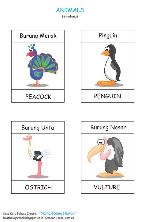 Kosa kata yg harus di ingat. Kosa Kata : Nama-Nama Hewan Dalam Bahasa inggris Bagian 2 ...