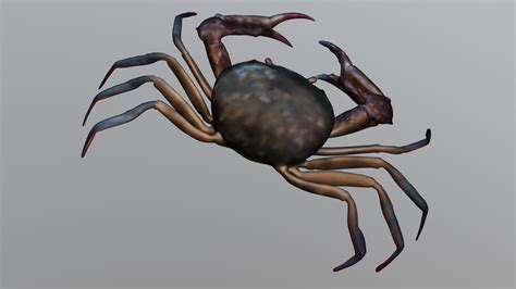 crab 3d model by tmids tmidesigns [8c99345] sketchfab