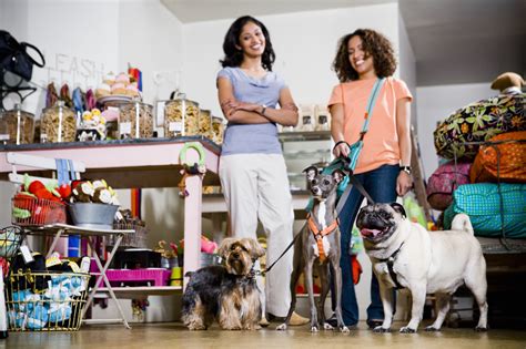 Los hábitos de los 'pet lovers' | Estilo de Vida Living | Univision