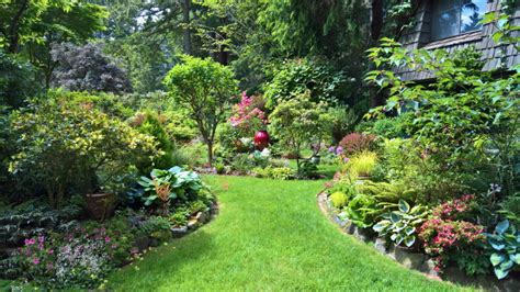 Returning To A Fabulous Garden Finegardening Lush Garden Shade