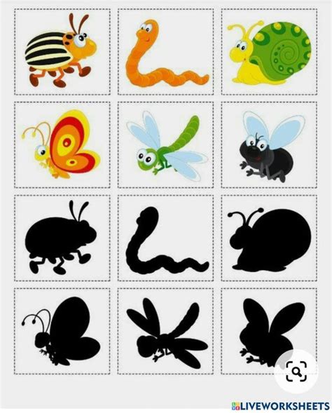 Serangga Insects Interactive Worksheet In 2022 Preschool Age