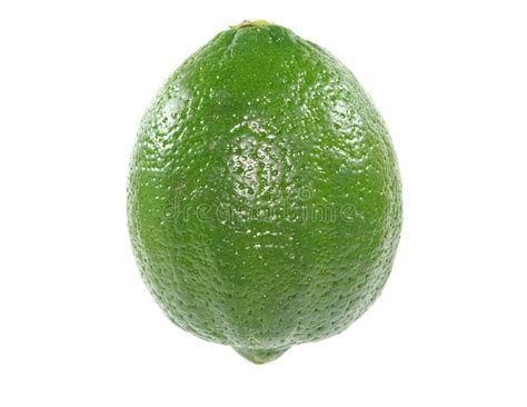 Lime Single Lime Isolated On White Background Aff