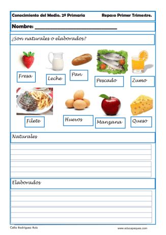 Grados del adjetivo para tercero de primaria. fichas conocimiento del medio segundo primaria 12 en 2020 ...