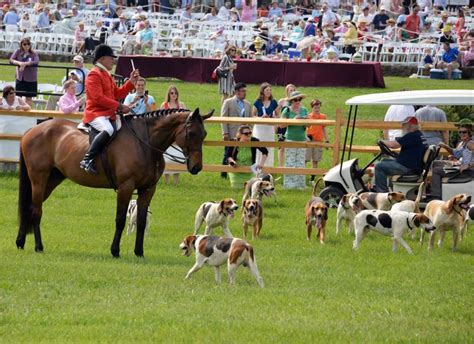 85th Annual Radnor Hunt Races Philadelphia Magazine