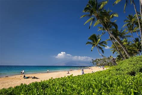 15 Best Beaches In Maui The Crazy Tourist