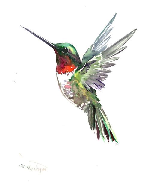 Hummingbird Painting Etsy Uk Hummingbird Painting Bird Watercolor