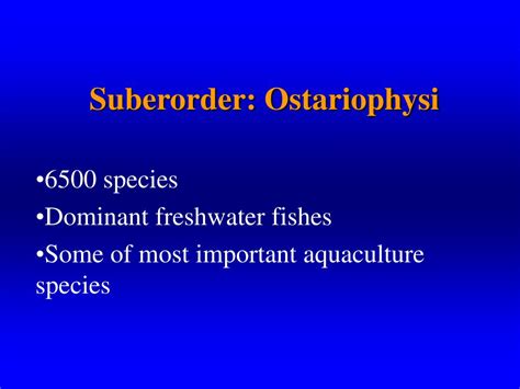 Ppt Chapter 13 Primative Fishes Powerpoint Presentation Free