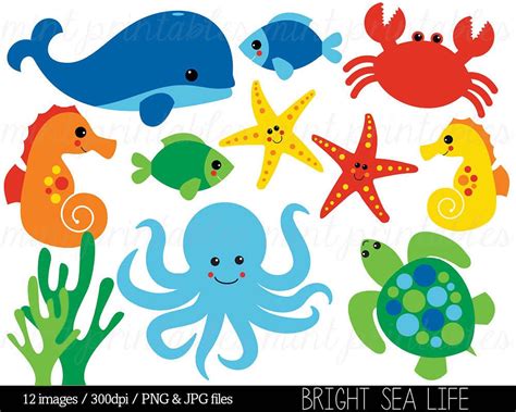 Sea Animal Clipart Under the Sea Baby Sea Creatures Clip | Etsy
